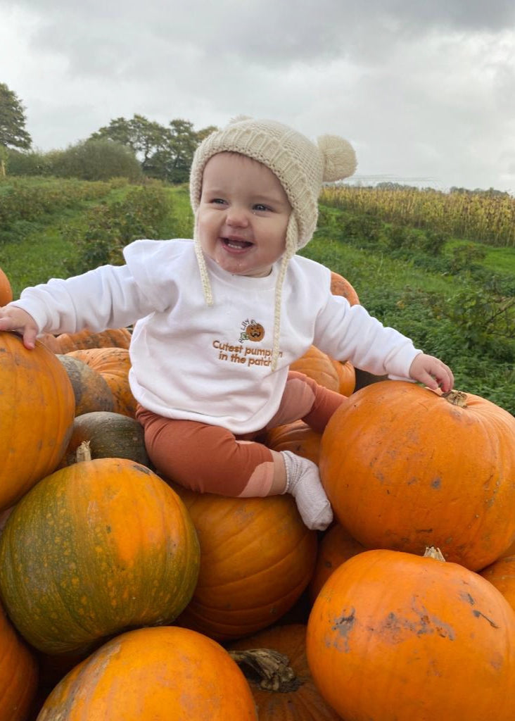 Cutest Pumpkin In The Patch Sweater