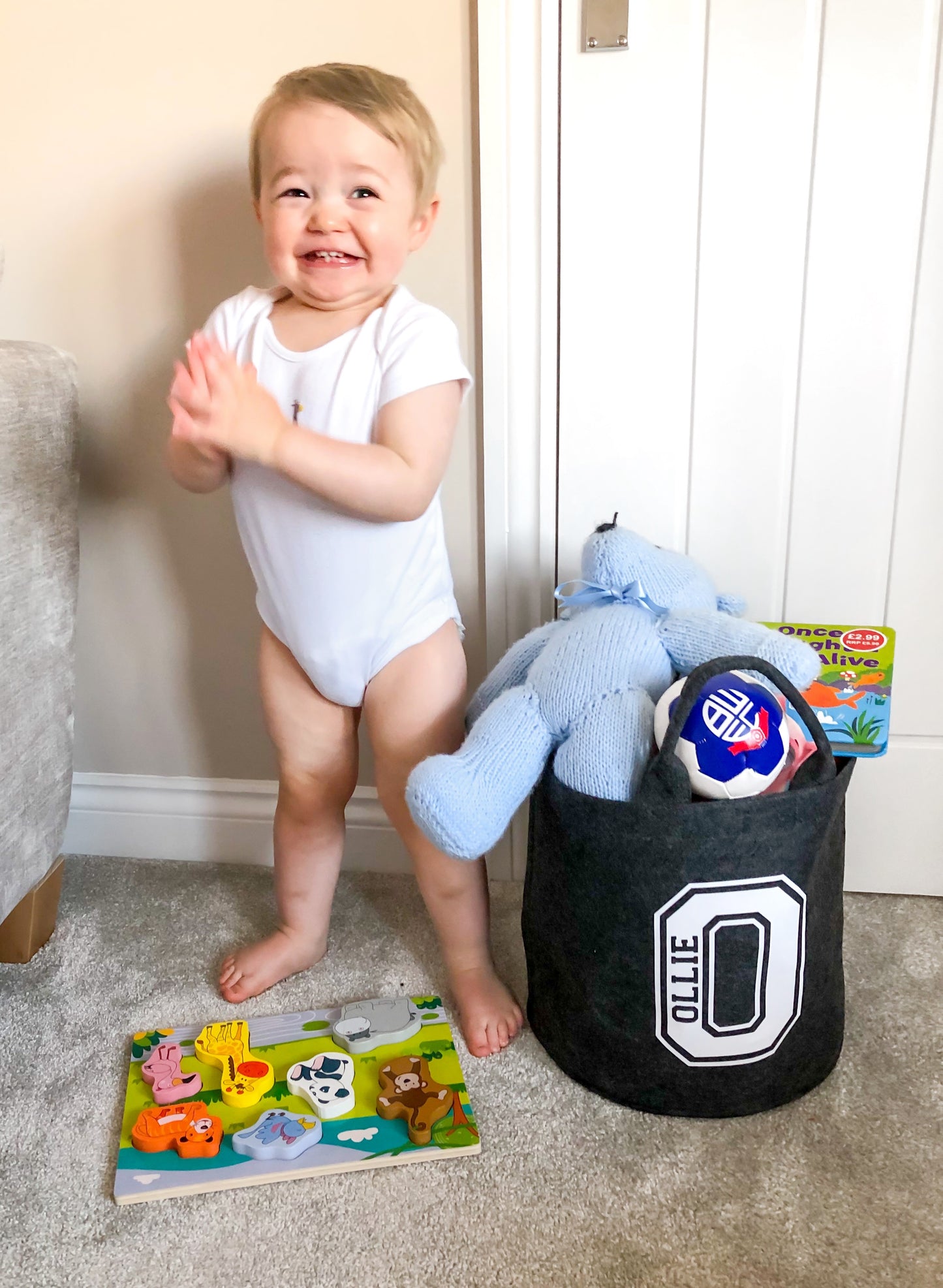 Toy Tidy