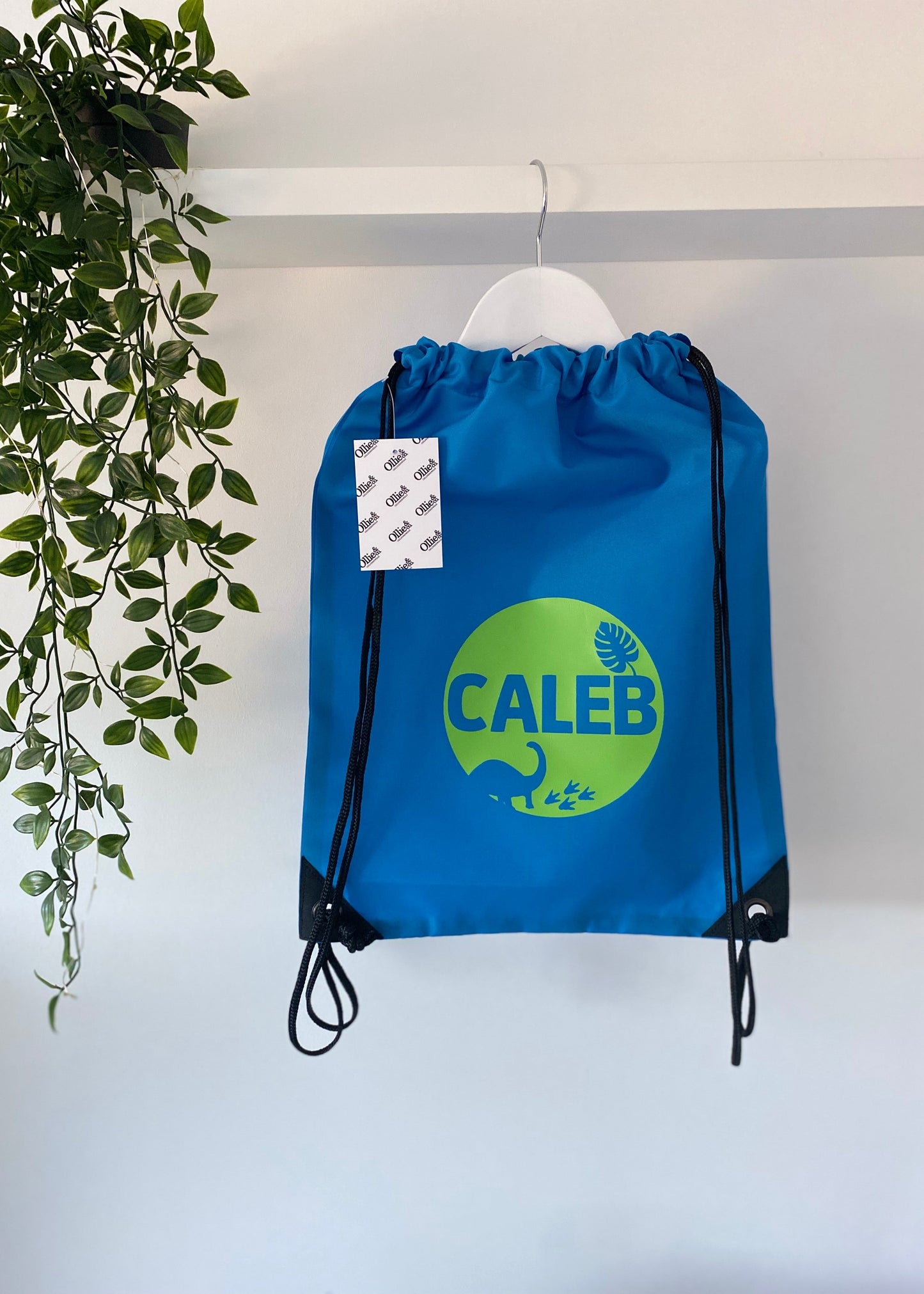 Gymsac