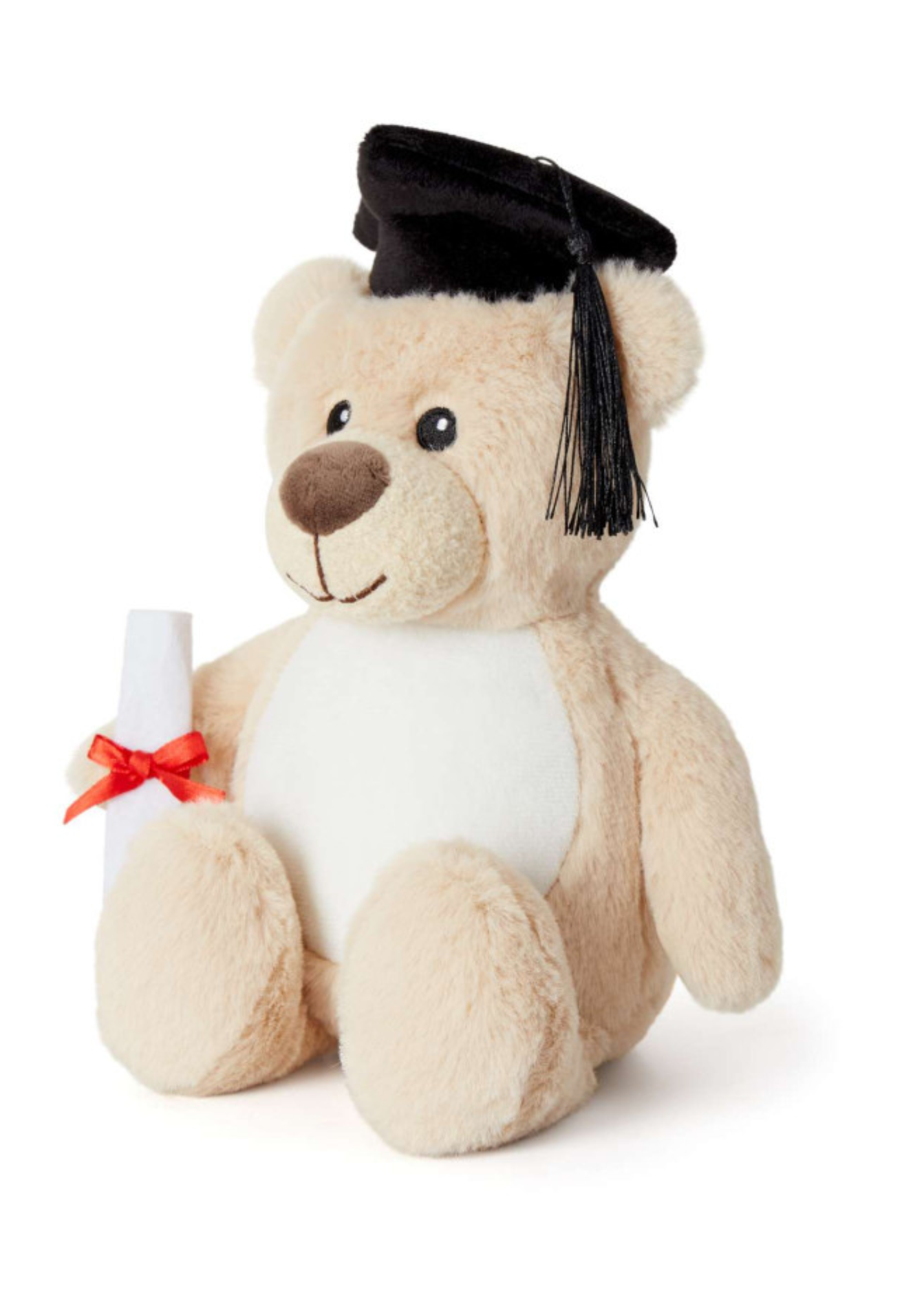 Graduation Bear Soft Toy