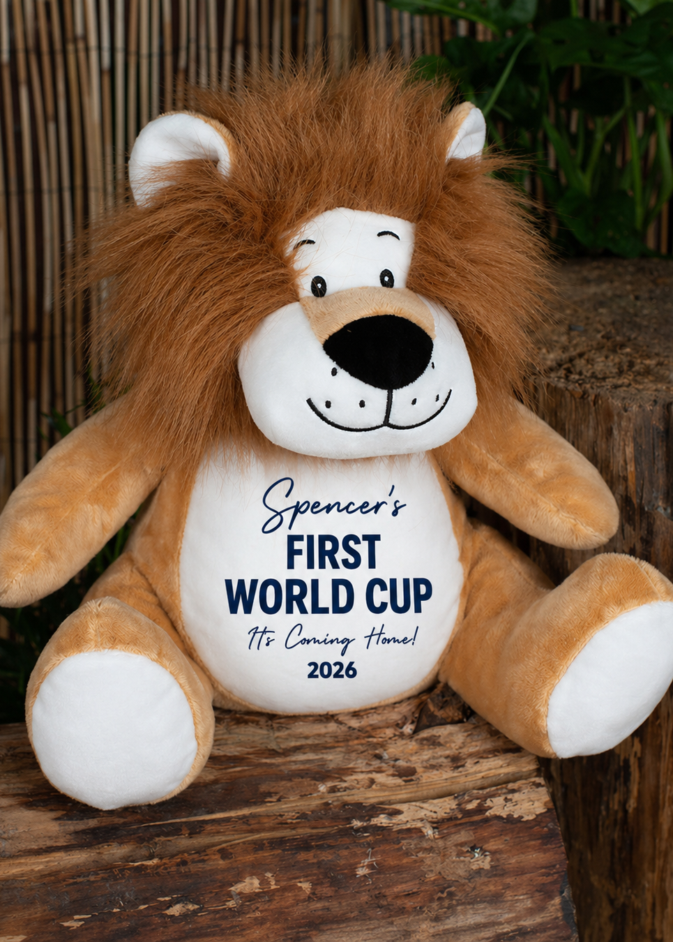 World Cup Lion