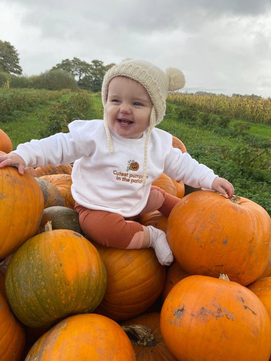 Cutest Pumpkin In The Patch Sweater/Hoodie